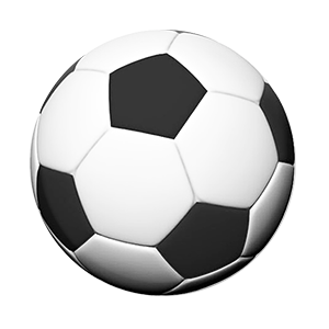 Pro-finish Management FC